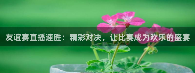 黑白直播篮球在线观看：友谊赛直播速胜：精彩对决，让比赛成为欢乐的盛宴