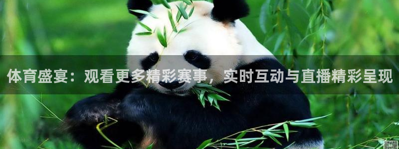 黑白直播nba免费观看下载篮球：体育盛宴：观看更多精彩赛事，实时互动与直播精彩呈现